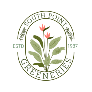 cropped logo8 30 2220241.png